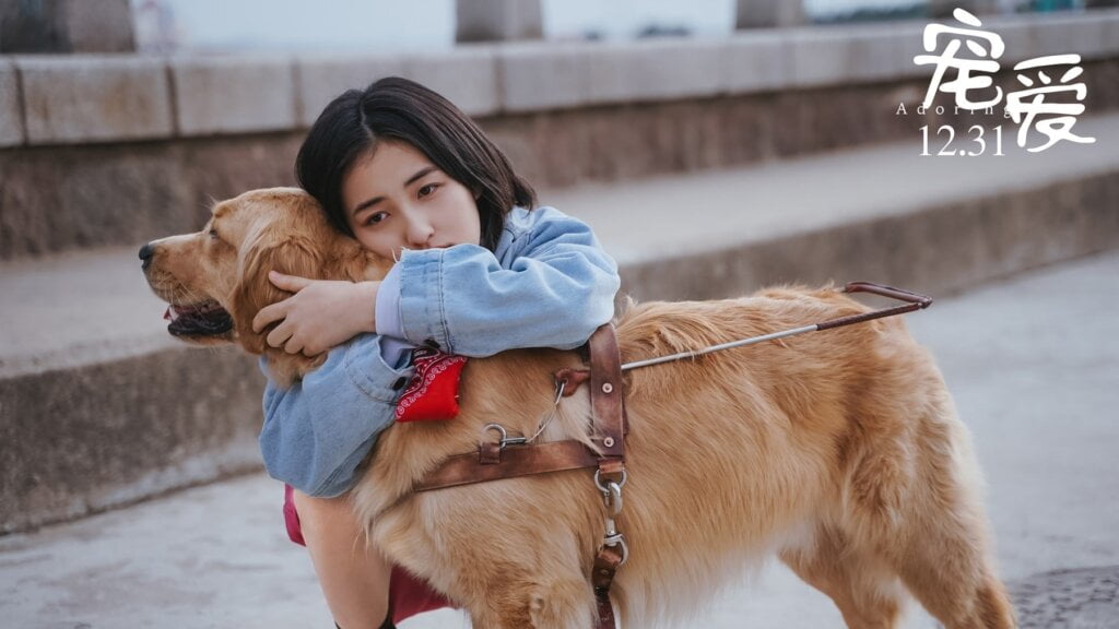 Sủng ái – Adoring (2019)